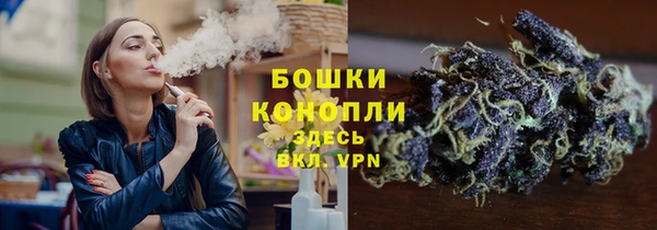 спайс Аркадак