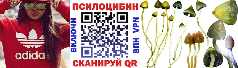 Галлюциногенные грибы ЛСД  Купить где  Багратионовск 